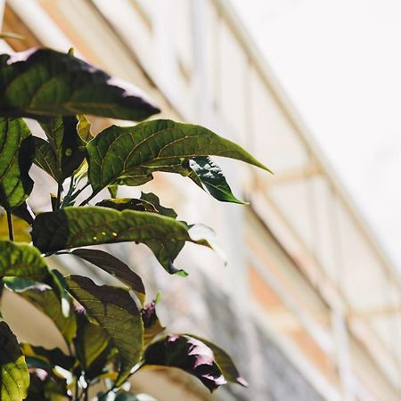 شقة Monet Garden Coffee Farm Chinan المظهر الخارجي الصورة